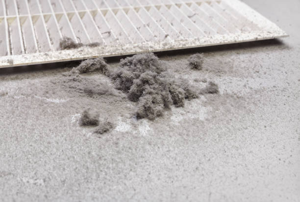 Best Affordable Duct Cleaning Services  in Libby, MT