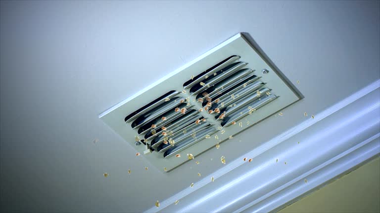 Best Professional Duct Cleaning Services  in Libby, MT